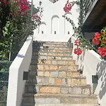 Mavinin Ve Yesilin Dansi * מרמריס