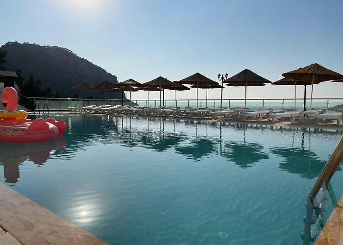 Mavinin Ve Yeşilin Dansı